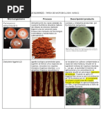 Tarea de Microb. Nikol