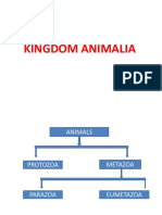 Kingdom Animalia