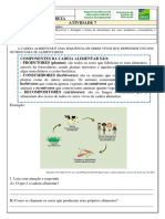 Atividade 7 Ciencias Da Natureza Tema Cadeias e Teias Alimentares Simples 4o Ano