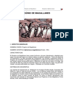 Pinguinodemagallanes