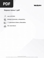 Repaso Tema 1