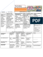 D Pleural