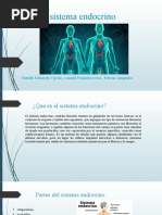 El Sistema Endocrino