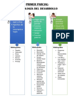 Temas Primer Parcial Psicologia Del Desarrollo