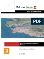 Informe Líneas Estratégicas 14062017