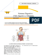 Sistema Digestivo 4°