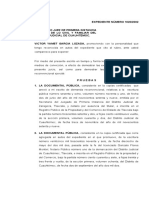 Ofrecimiento de Pruebas para Un Reivindicatorio Con Interrogatorio y Puntos Concretos para Perito