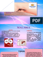 Grupo 4 Malaria