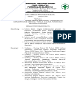 1.2.2.1 SK Pemberian Informasi Kepada Masyarakat, Lintas Sektor, Lintas Program