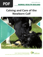 CalfCare Calving Care of The Newborn Calf 2021