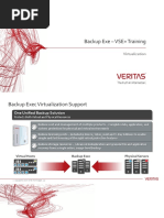 VSE+BackupExec Virtualization 2019 06