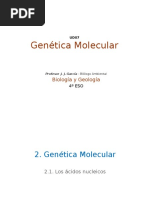 Genética Molecular