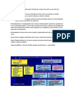 Estress Neurotrasmisor y Generalidades