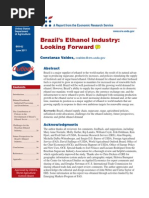 Brazil Ethanol Industry - Constanza Valdes - BIO02 - 2011