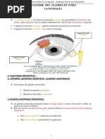 Anatomie Des Glandes Et Voies Lacrymales