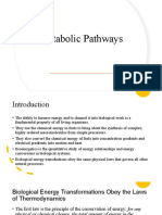 Metabolic Pathways