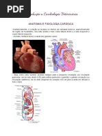 Introdução A Cardiologia Veterinária