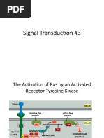 Signal Transduction Lecture 3