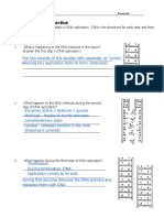 DNA Replication Worksheet