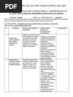 Plan Analítico Nancy Primero