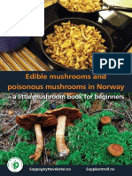 Edible Mushrooms and Poisonous Mushrooms in Norway