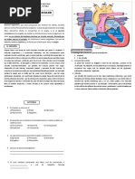 Junio 09 Anatomía Tercero