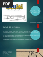 4.3 Ejemplo de Perfil de Flujo en Un Azud