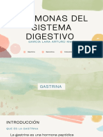 Hormonas Del Sistema Digestivo