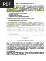 Acta de Constitución Fedesconadic