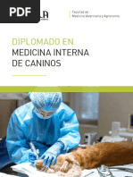 Medicina Interna en Caninos