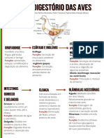 Sistema Digestório Das Aves