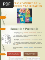 Proceso Cognitivo de La Percepcion y La Sensacion