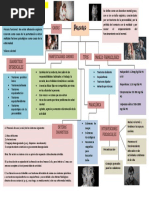 Mapa Conceptual de Psicosis