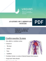 Cardiovascular Notes