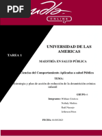 GRUPO 6 - S2 Tarea Trabajo Grupal - Propuesta Siguiendo El Modelo PRECEDE - PROCEED