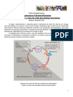 Ciclo de Vida Das Plantas Terrestres-1