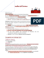 Conto - Exploradores de Caverna RESUMO