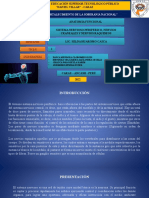 Anatomia y Fisiologia Del Sistema Nervioso Periferico, Nervios Craneales y Nervios Raquideos