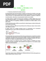 Psicobio Tema 2