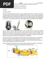 Biologia 1er Año CB T.M T.T T.V Prof - Villanueva Ana González Macarena Araoz Carina