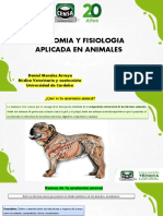 Anatomia de Los Animales