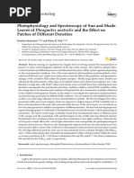 Photophysiology and Spectroscopy of Sun and Shade Leaves 2020