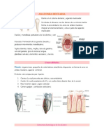 ANATOMIA DENTARIA Apunte