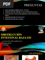 Obstruccion Intestinal Baja