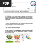 Guia Microorganismos 7° Básico