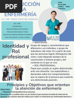 Identidad y Rol Profesional