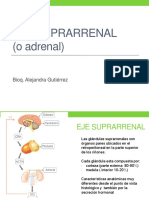 Clase. Adrenal. Paratiroides. Crecimiento