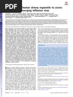 Zhou, 2018. Airway Organoid Influenza