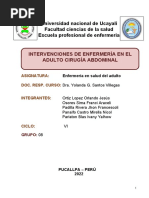 Intervenciones de Enfermería en El Adulto Cirugía Abdominal Corregido Ivany