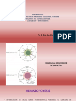 Inmunología 2